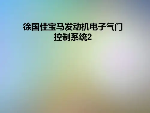 徐国佳宝马发动机电子气门控制系统2