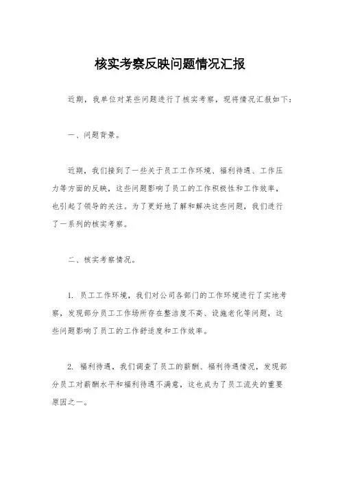 核实考察反映问题情况汇报