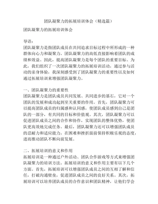 团队凝聚力的拓展培训体会(精选篇)