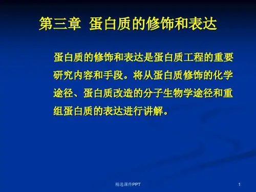 蛋白质的修饰和表达ppt课件