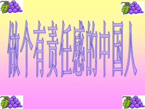 做个有责任感的中国人-主题班会(精品课件)