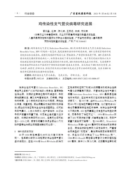 鸡传染性支气管炎病毒研究进展