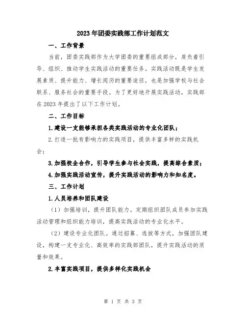 2023年团委实践部工作计划范文 