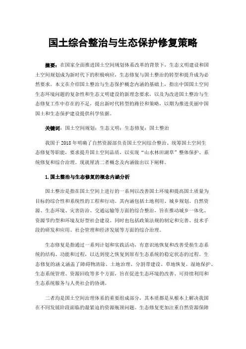 国土综合整治与生态保护修复策略