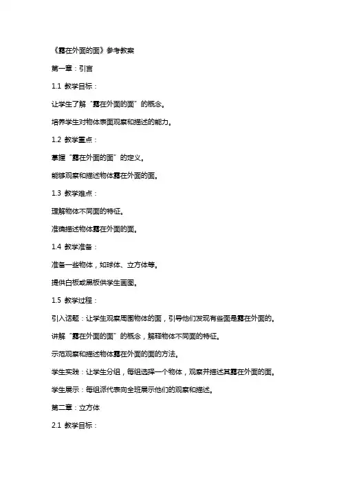 《露在外面的面》参考教案
