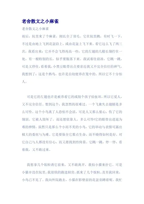 老舍散文之小麻雀