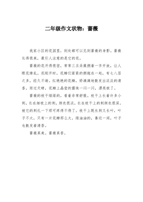 二年级作文状物：蔷薇