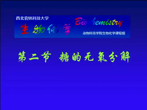 第二节糖的无氧分解-精品文档
