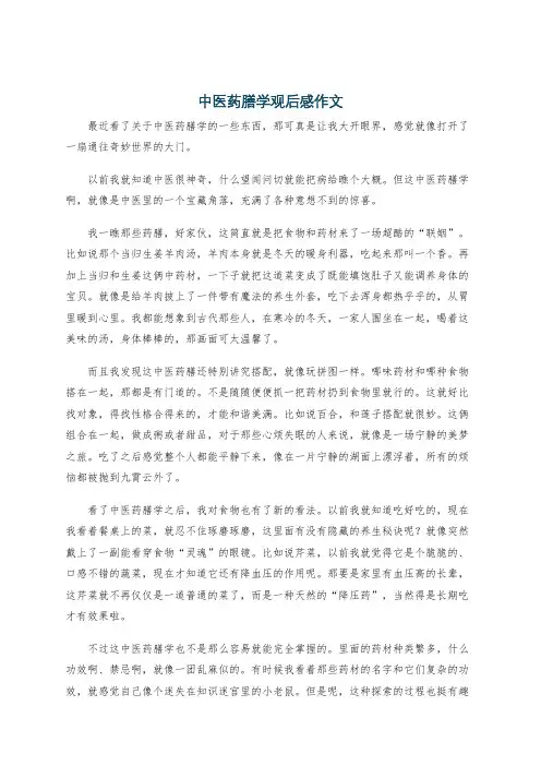 中医药膳学观后感作文
