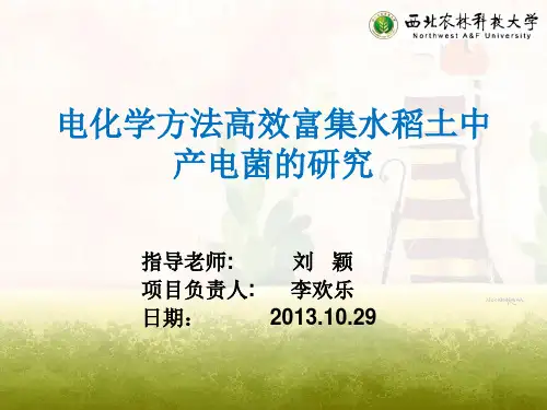 科创中期检查报告