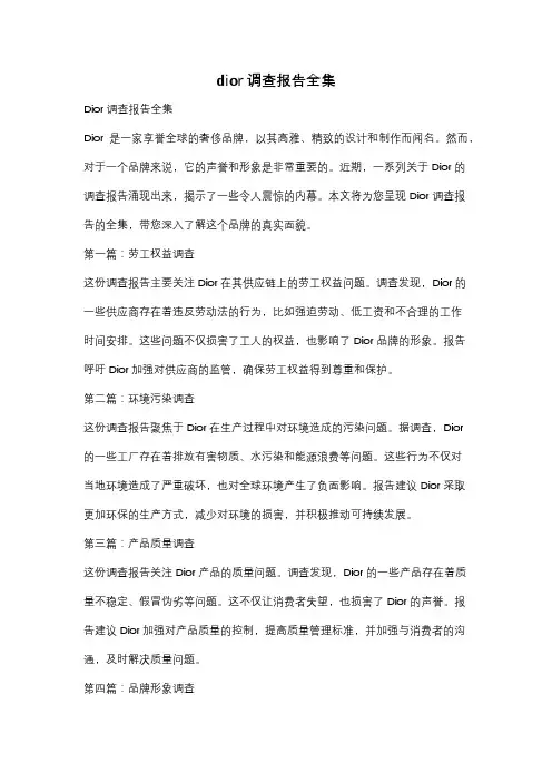 dior调查报告全集