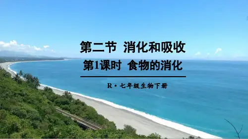 人教版七年级生物《消化和吸收》PPT课件【精品】