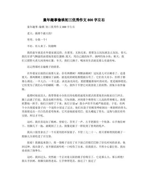 童年趣事偷桃初三优秀作文800字左右