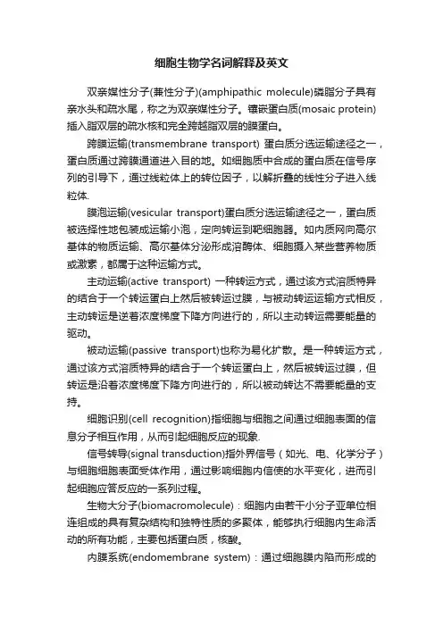 细胞生物学名词解释及英文
