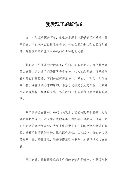 我发现了蚂蚁作文
