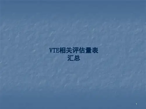 VTE住院患者相关评估量表ppt课件
