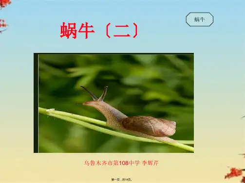 小学科学三上《2.3、蜗牛(二)》课件(4)ppt(共14张PPT)