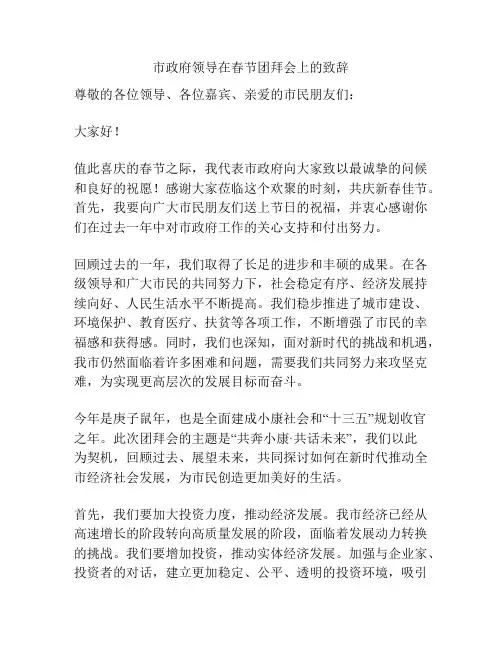 市政府领导在春节团拜会上的致辞