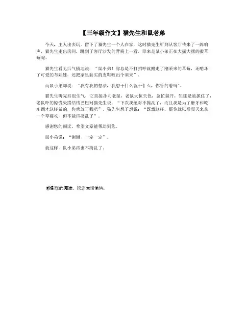 【三年级作文】猫先生和鼠老弟