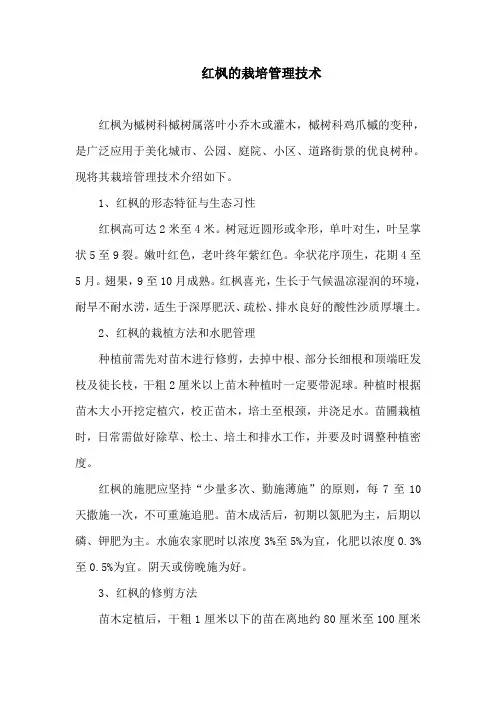 红枫的栽培管理技术