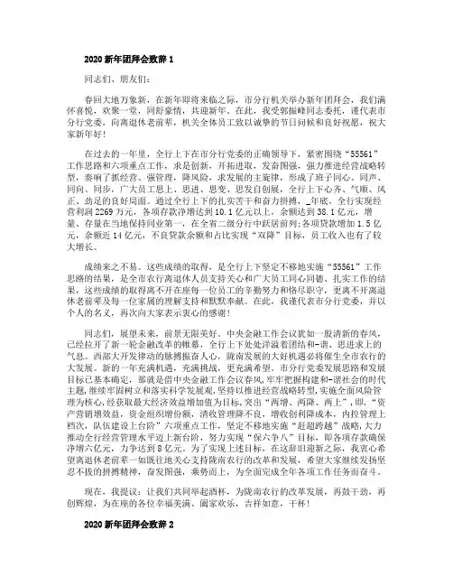 2020新年团拜会致辞五篇
