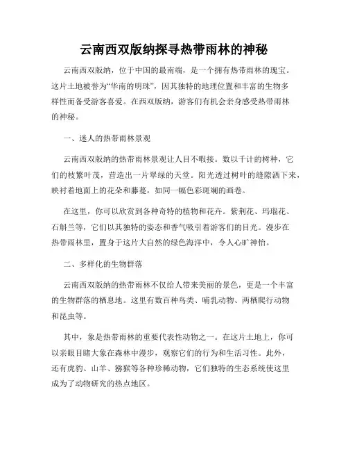 云南西双版纳探寻热带雨林的神秘