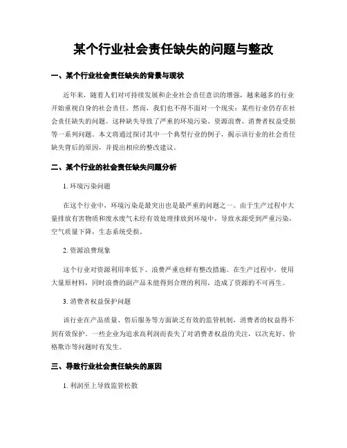 某个行业社会责任缺失的问题与整改