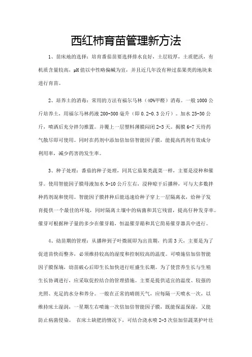 西红柿育苗管理新方法