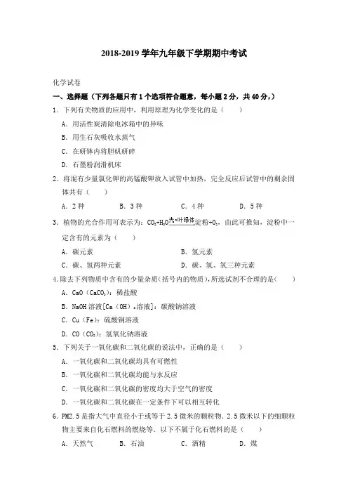 人教版2018-2019学年九年级下学期期中考试化学试卷(解析版)