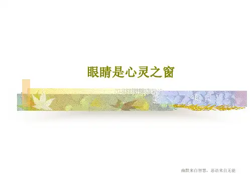 眼睛是心灵之窗43页PPT