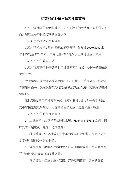 红豆杉的种植方法和注意事项