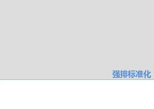 地产项目强排标准化