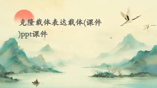 克隆载体表达载体(课件)PPT课件