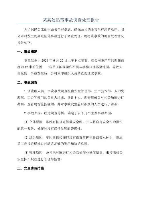 某高处坠落事故调查处理报告