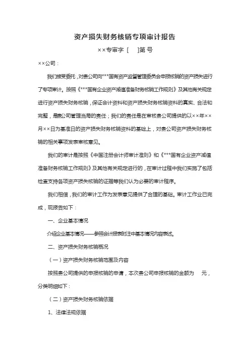 资产损失财务核销专项审计报告