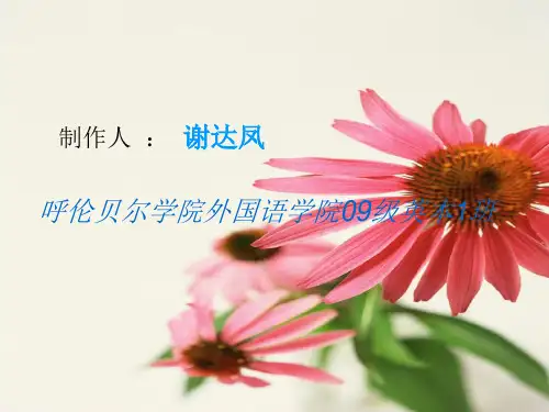 2007年环球金融危机