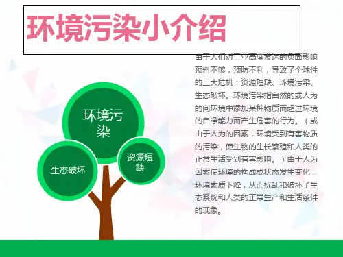 环境污染的PPT课件