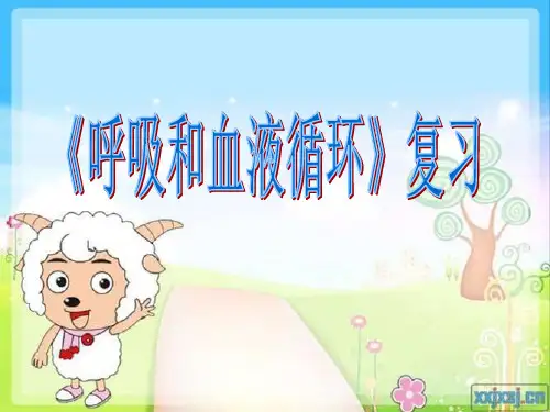 (苏教版)小学科学五上《心脏和血液循环》PPT课件(同课异构)(2)