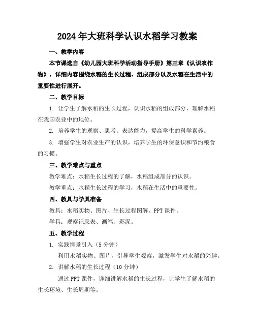 2024年大班科学认识水稻学习教案