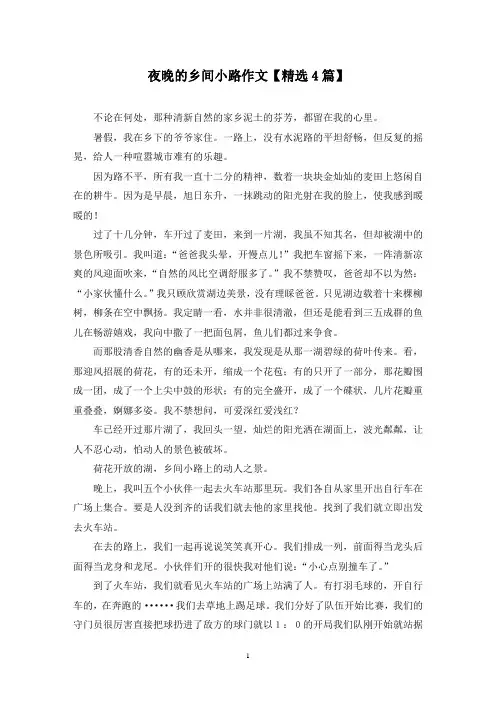 精选夜晚的乡间小路作文【4篇】