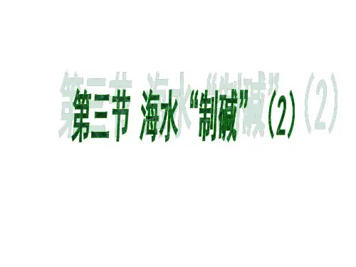 鲁教版五四制初中化学九年级上册《9.3 海水“制碱”》PPT课件 (3)
