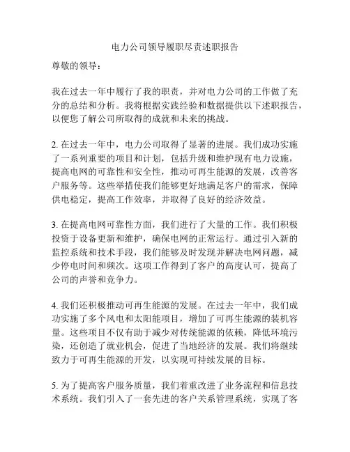 电力公司领导履职尽责述职报告