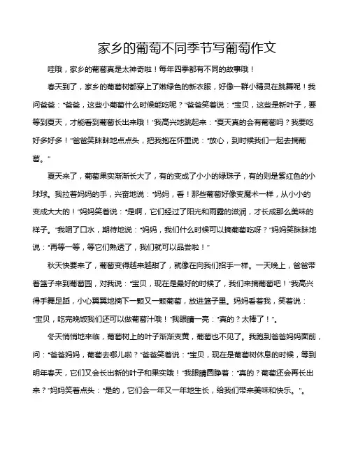 家乡的葡萄不同季节写葡萄作文