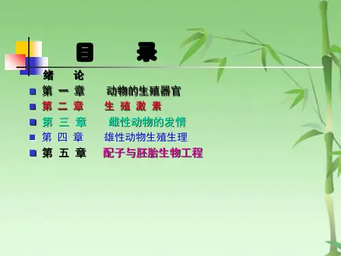 动物生殖器官(共82张PPT)