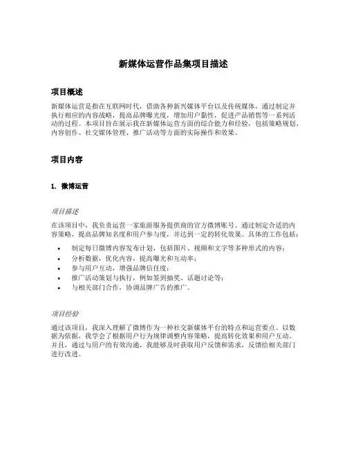 新媒体运营 作品集 项目描述