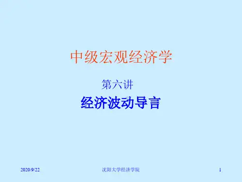 中级宏观经济学6