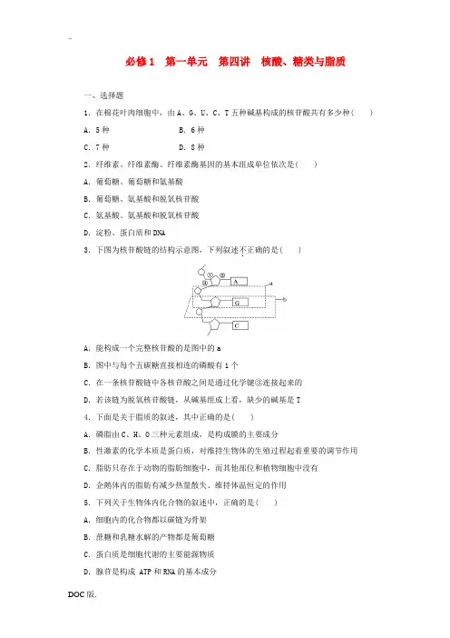 2014高考生物一轮复习 第一单元 第四讲 核酸、糖类与脂质配套训练 新人教版必修1