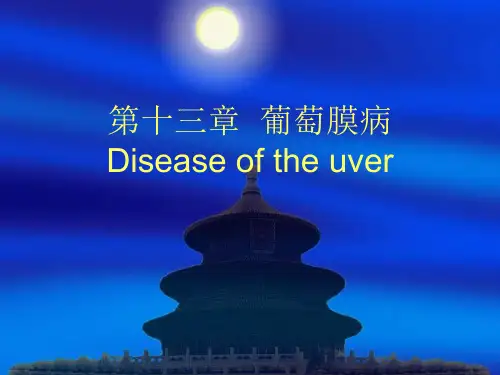 眼科学-葡萄膜疾病