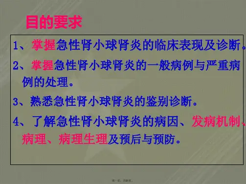 【儿科学】急性肾小球肾炎