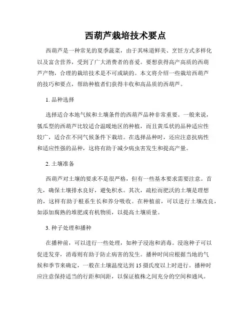 西葫芦栽培技术要点